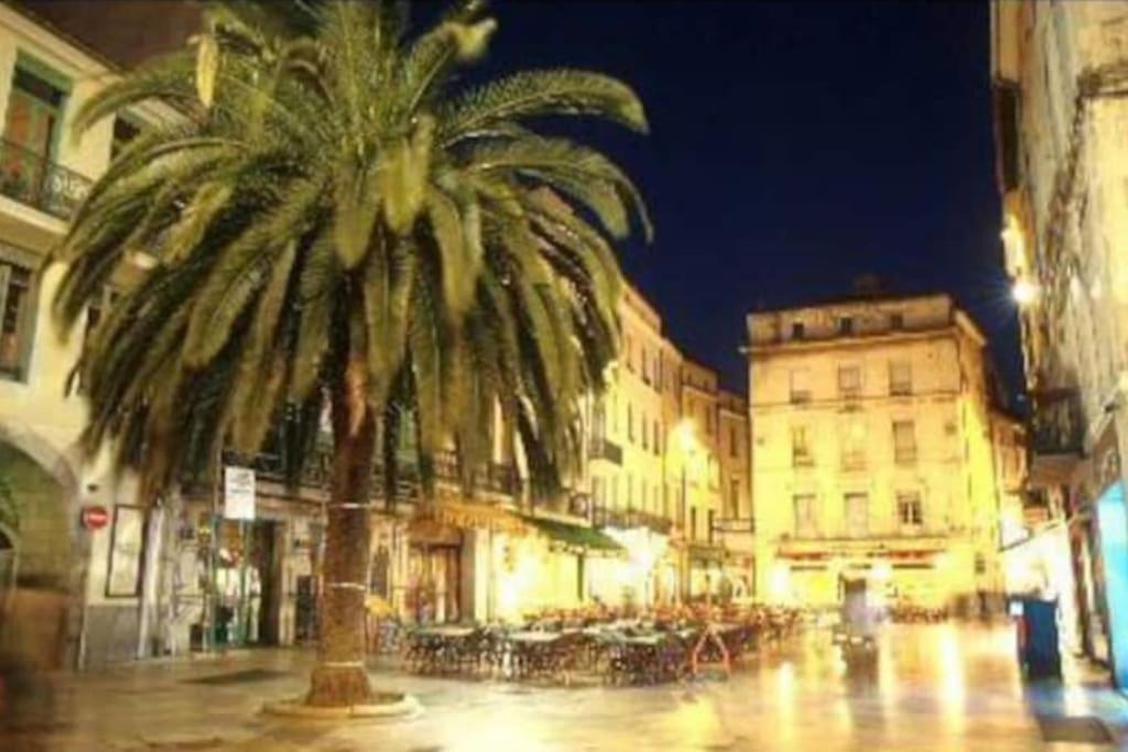Apartment « le Boheme Chic » Nîmes